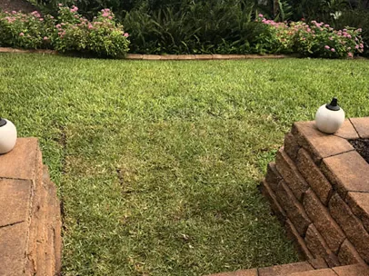 Freshly installed sod forming a lush green lawn